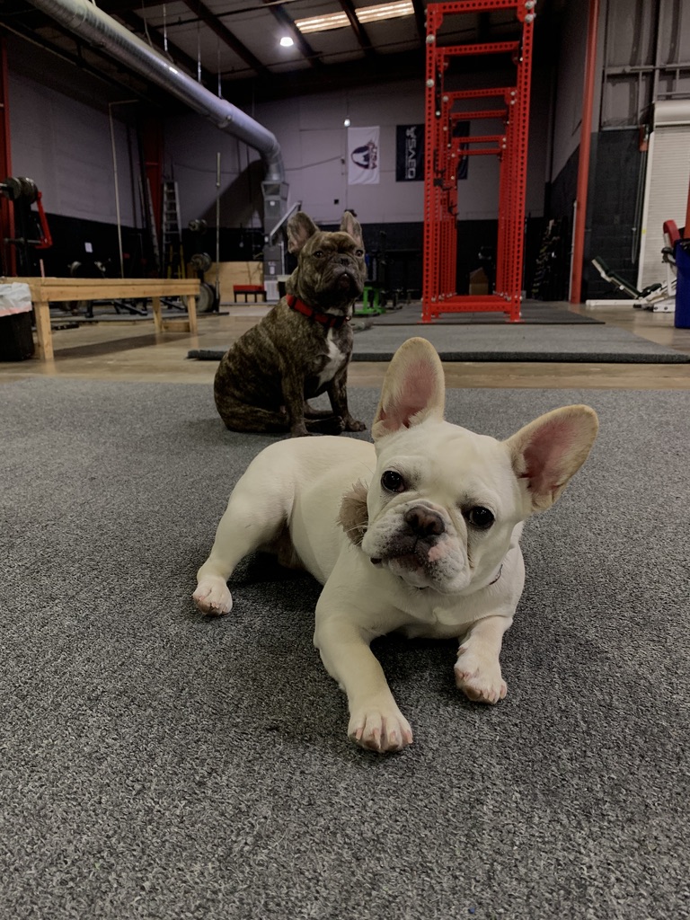 Nico & Lily at the Shop Gym