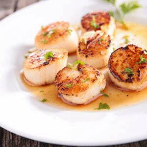 Scallops