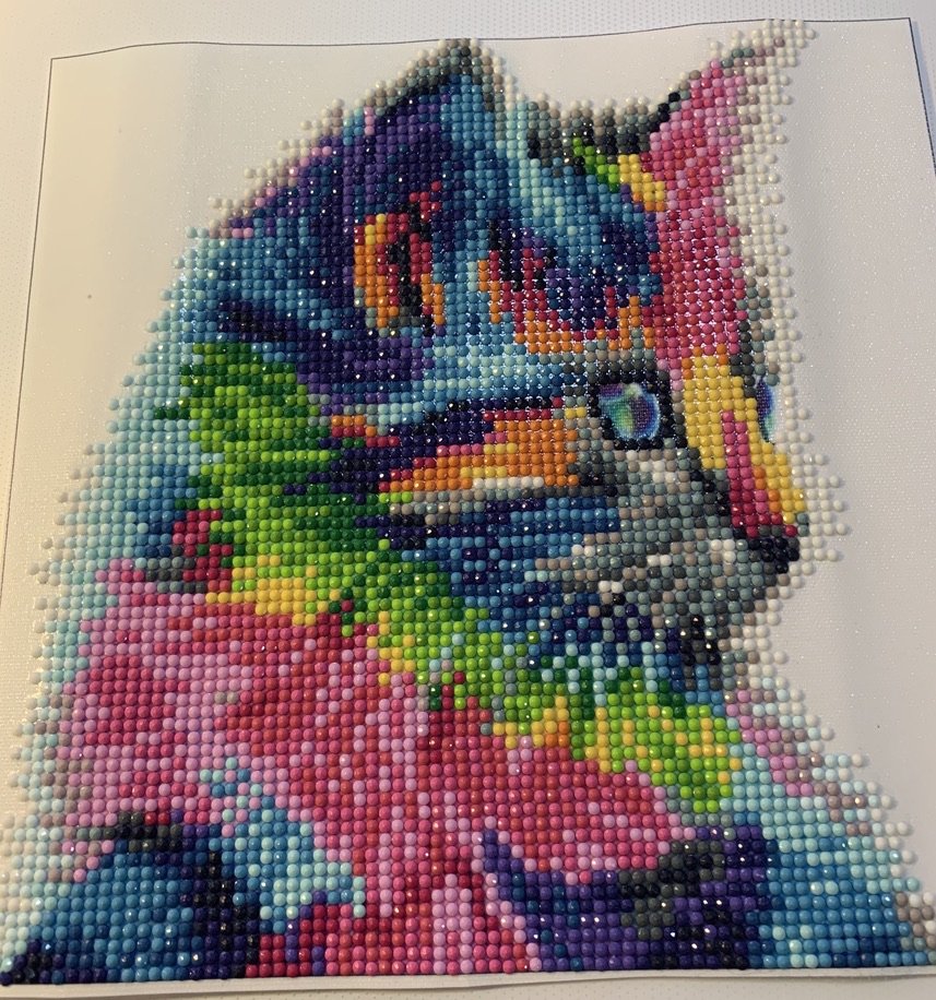 Diamond Cat Painting